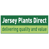 Jersey Plants Direct